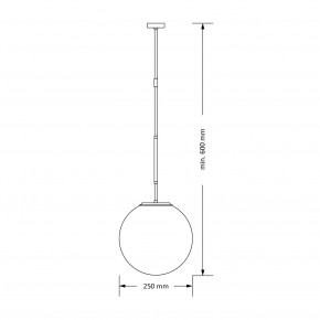 ULT-ZW-1 (ZM) 250, фото 2